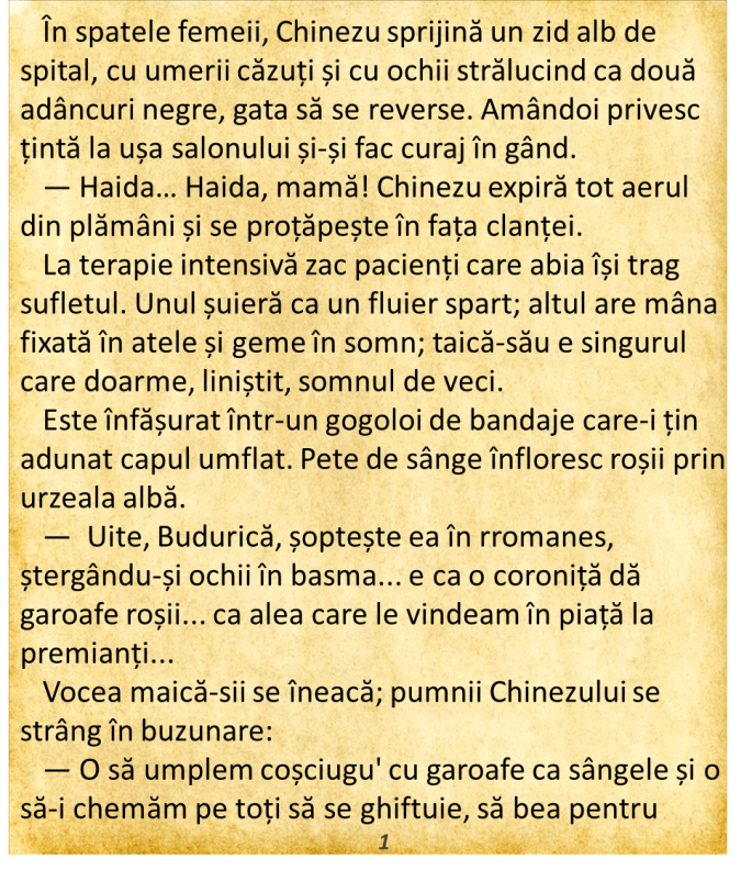personaj al cărții Jocul de-a V-ați ascunselea de Em Madara -