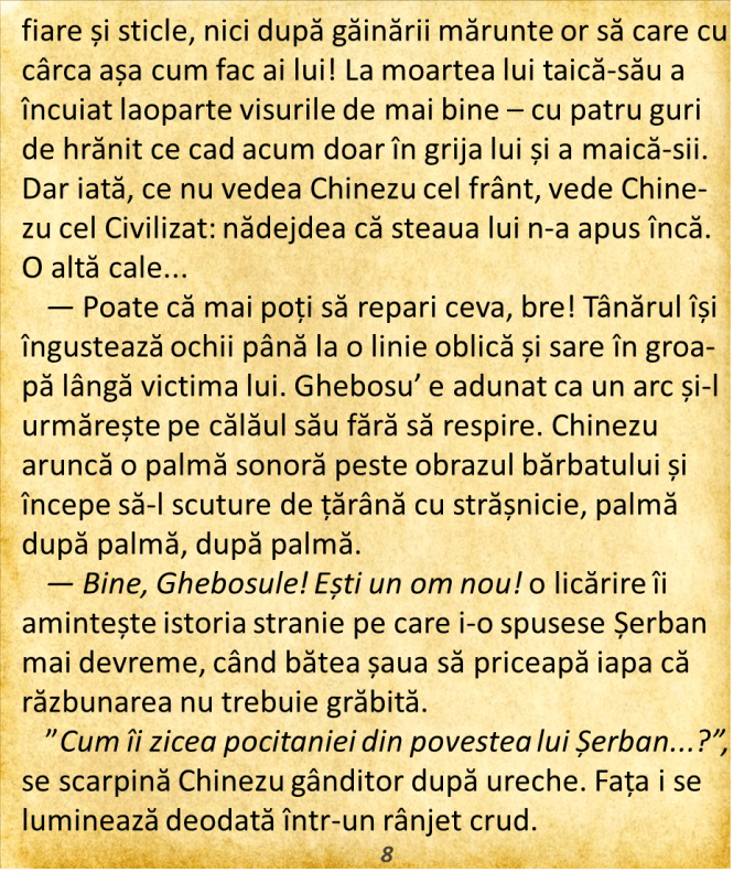 Chinez II 8